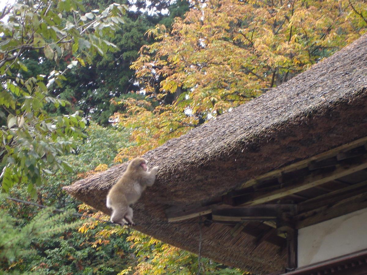 ホテルNishiya 米沢市 エクステリア 写真